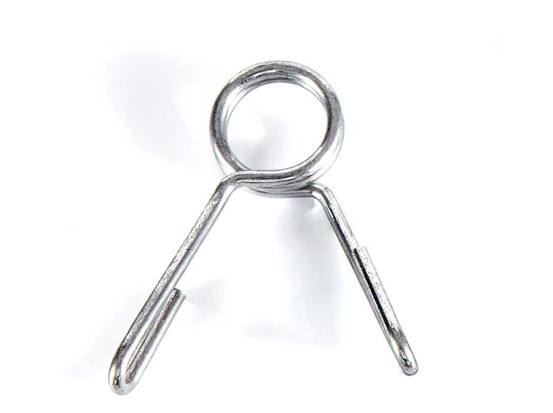 Torsion spring